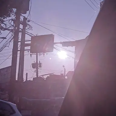 Profile image of 모찌유들