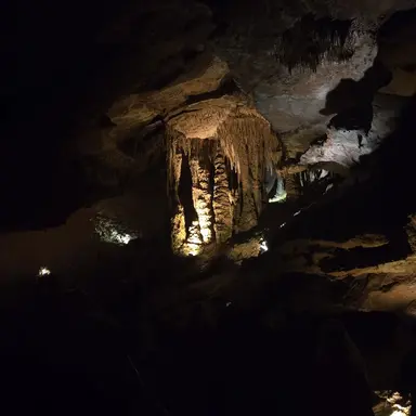 Profile image of Lucian Ashford