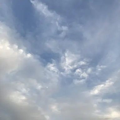 Profile image of 日本