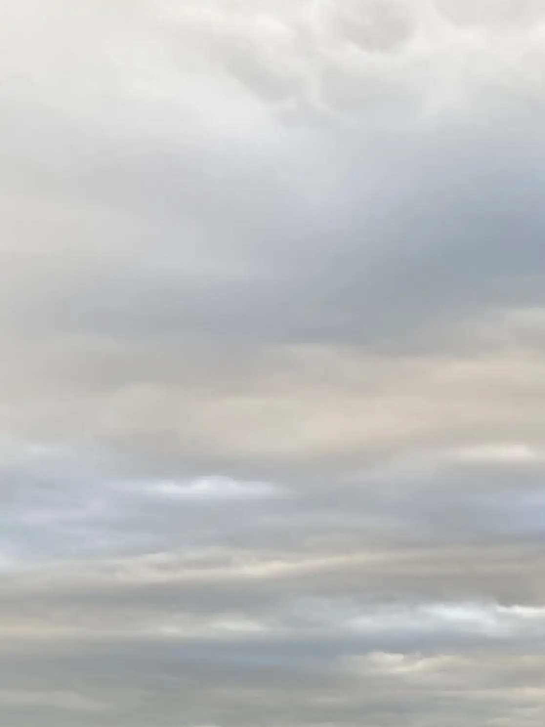 GuiltyPeas9652의 貴方は初恋のお姉さん！？