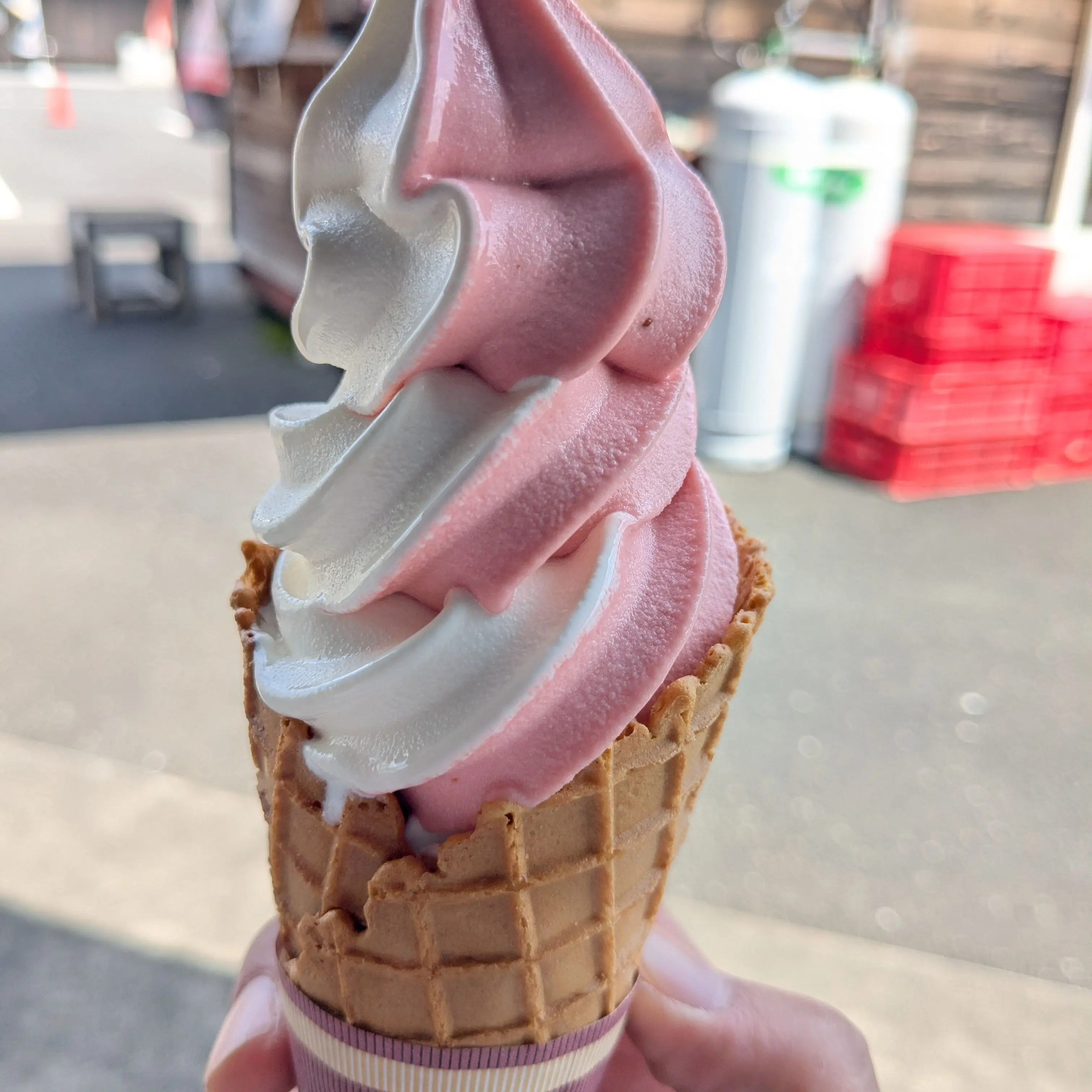 PerkyGems9861의 北条悠貴の包囲網