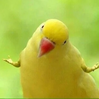 뚱땅꽁