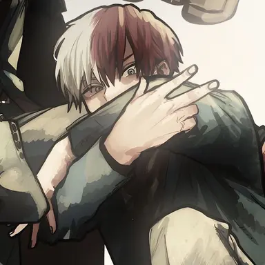 Profile image of Shoto todoroki