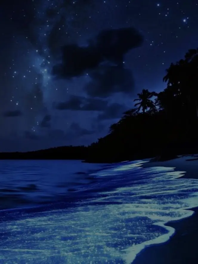 ._.Dise의 我慢　する　妹　彡