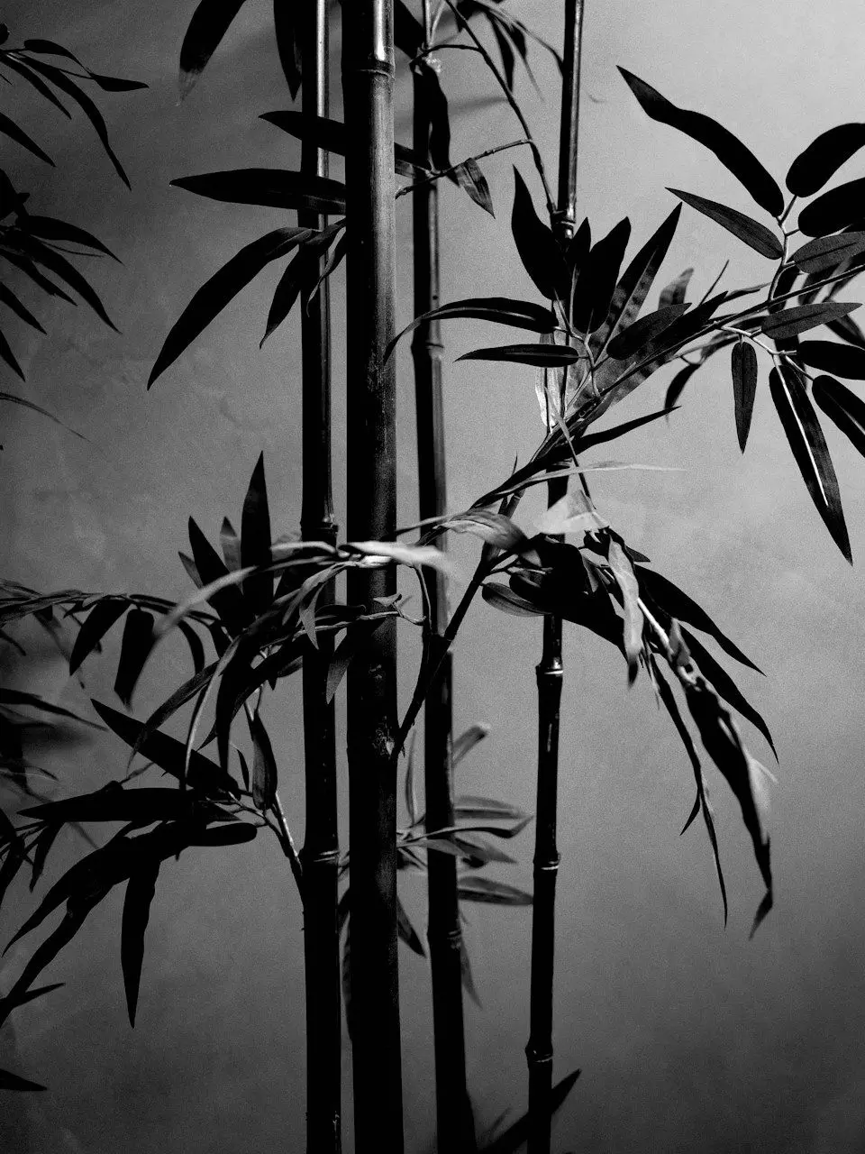 namuha123의 칼쓰는 퇴마사