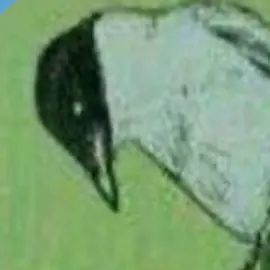kim3.5의 물까치