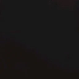 김동현