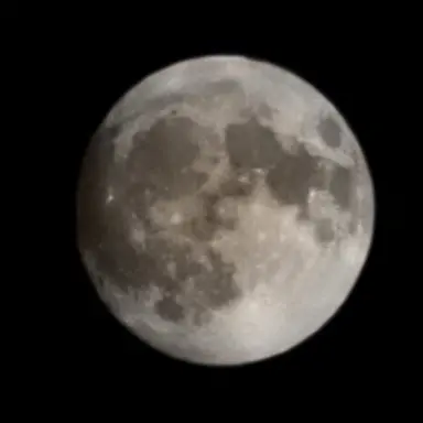 Profile image of 베이비