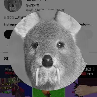 Profile image of 왼발가락