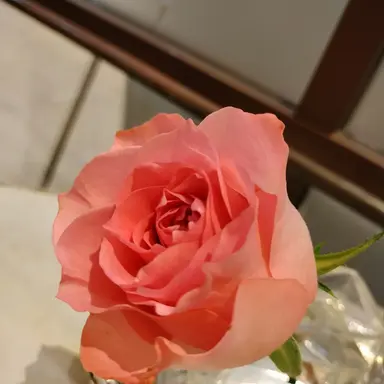 Profile image of 愛海