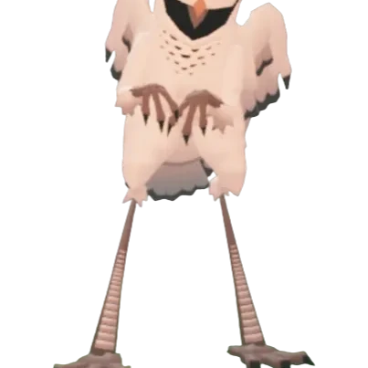 올빼미