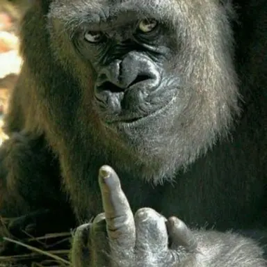 Profile image of 늑대