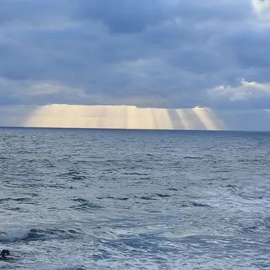 Profile image of 고우