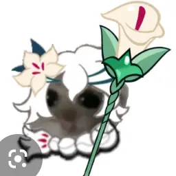 Profile image of 세인트릴리