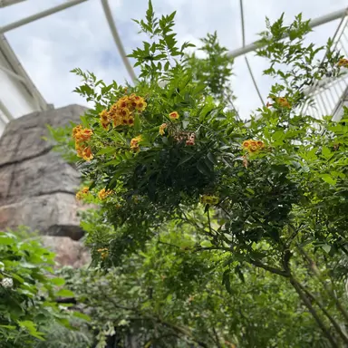 Profile image of 공룡