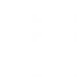 Profile image of 선생님