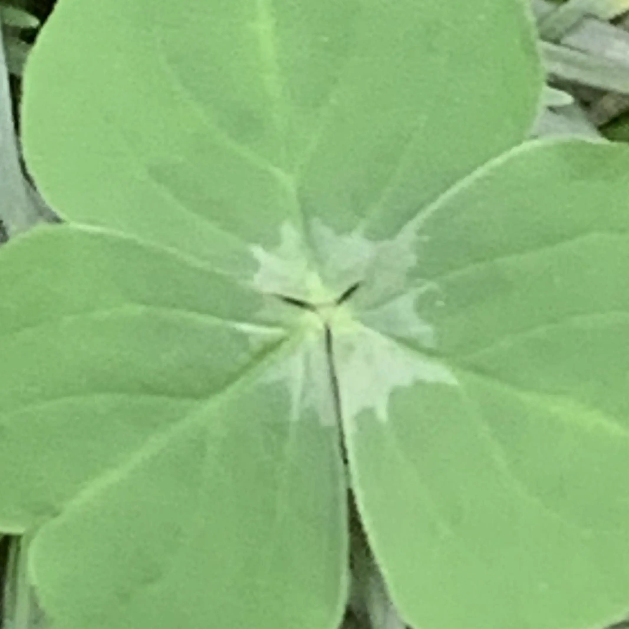 EarlyPump9362의 롯데월드