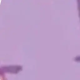 Profile image of 수현