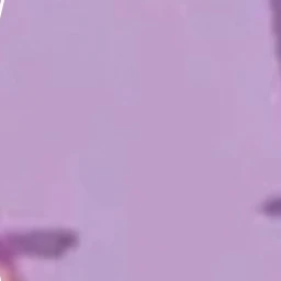 수현