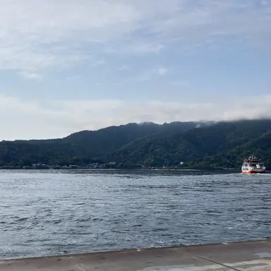 Profile image of 塩﨑太智
