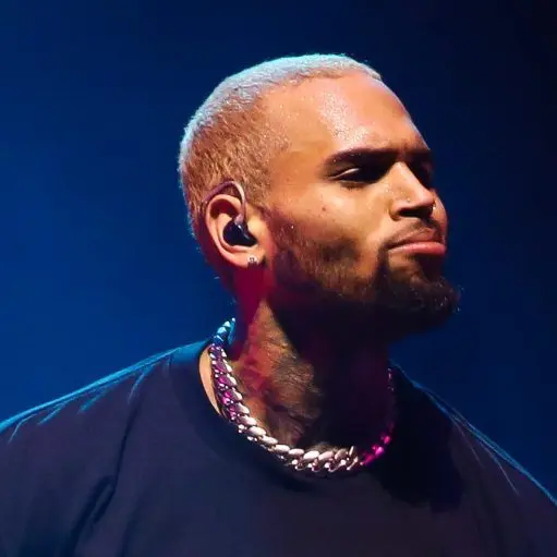 VagueHero4636의 Chris Brown