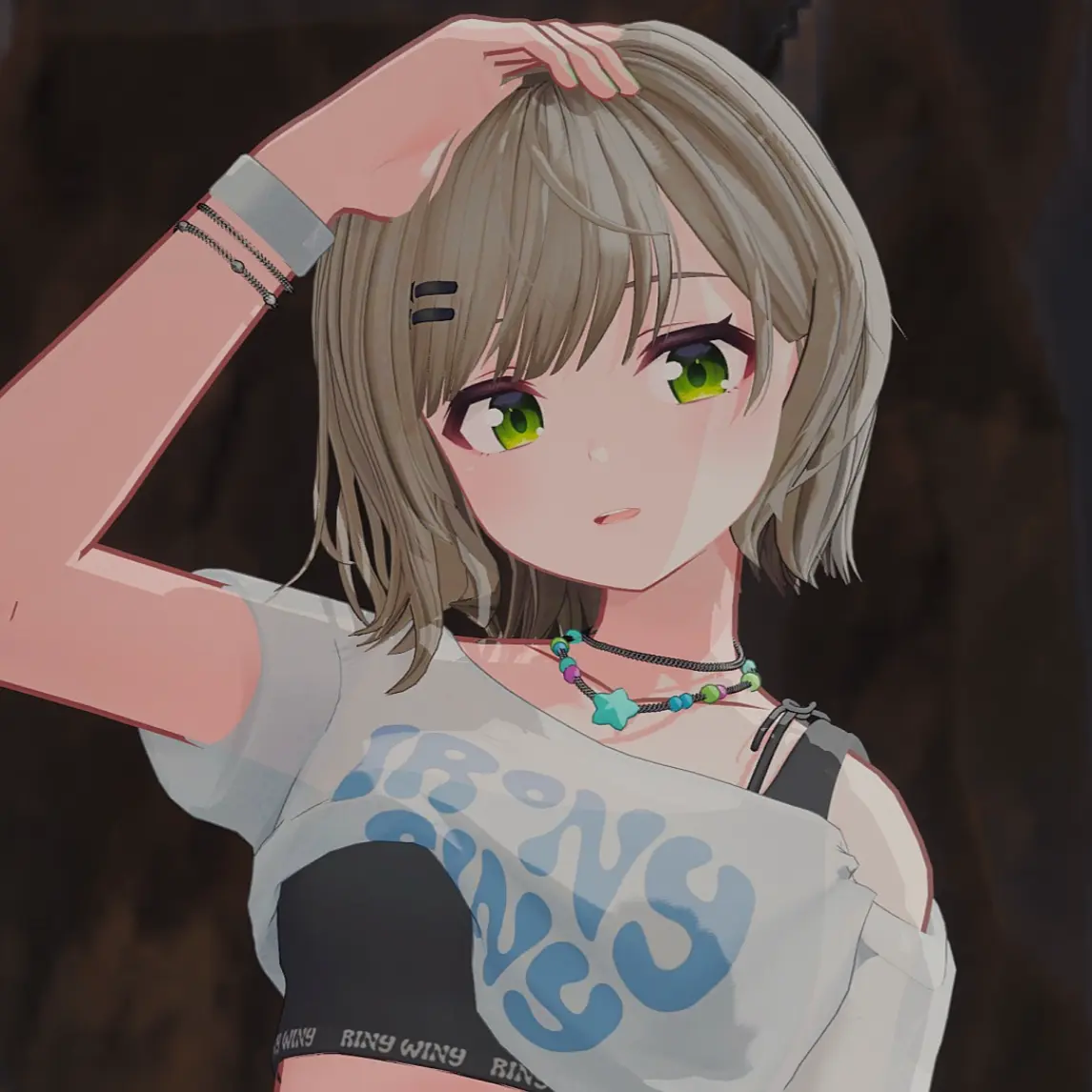 HeavyHiker6871의 비챤