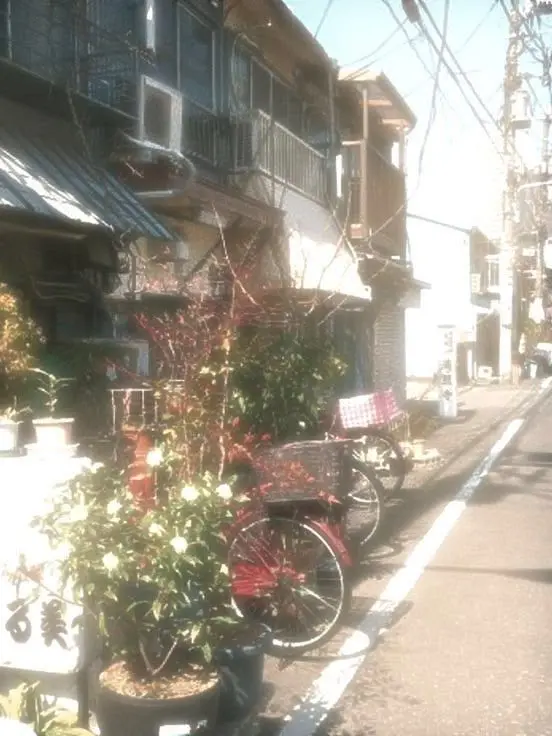 Idontgetitatall의 « 梶裕貴 »