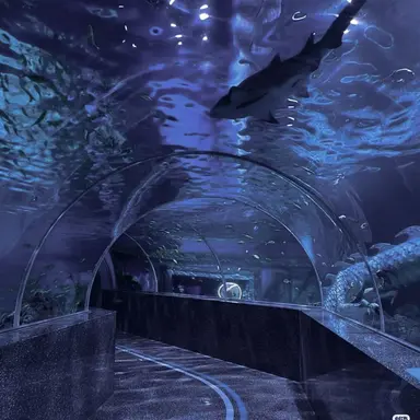 Profile image of 안테