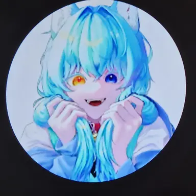 Profile image of 료미