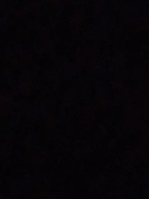 sia_Le의 술[re revolutlon]