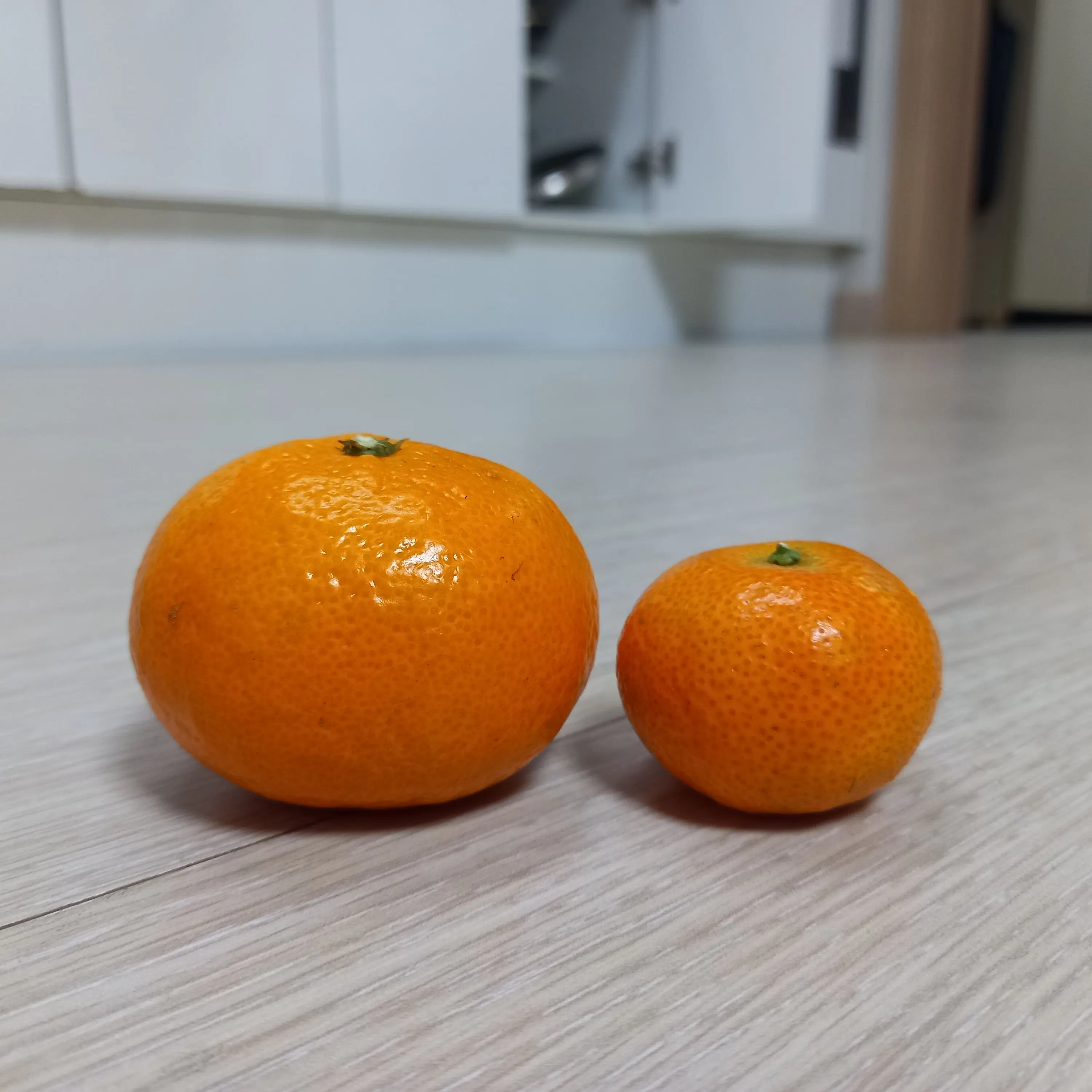 CostlyMenu3924의 최승현