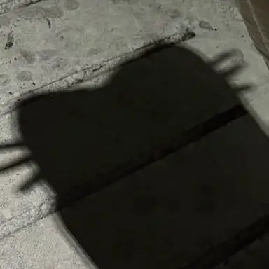 Profile image of 김동현