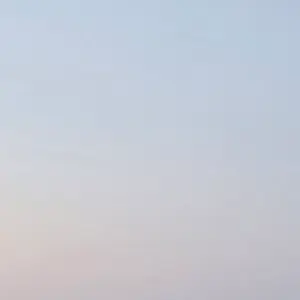 Profile image of リノ