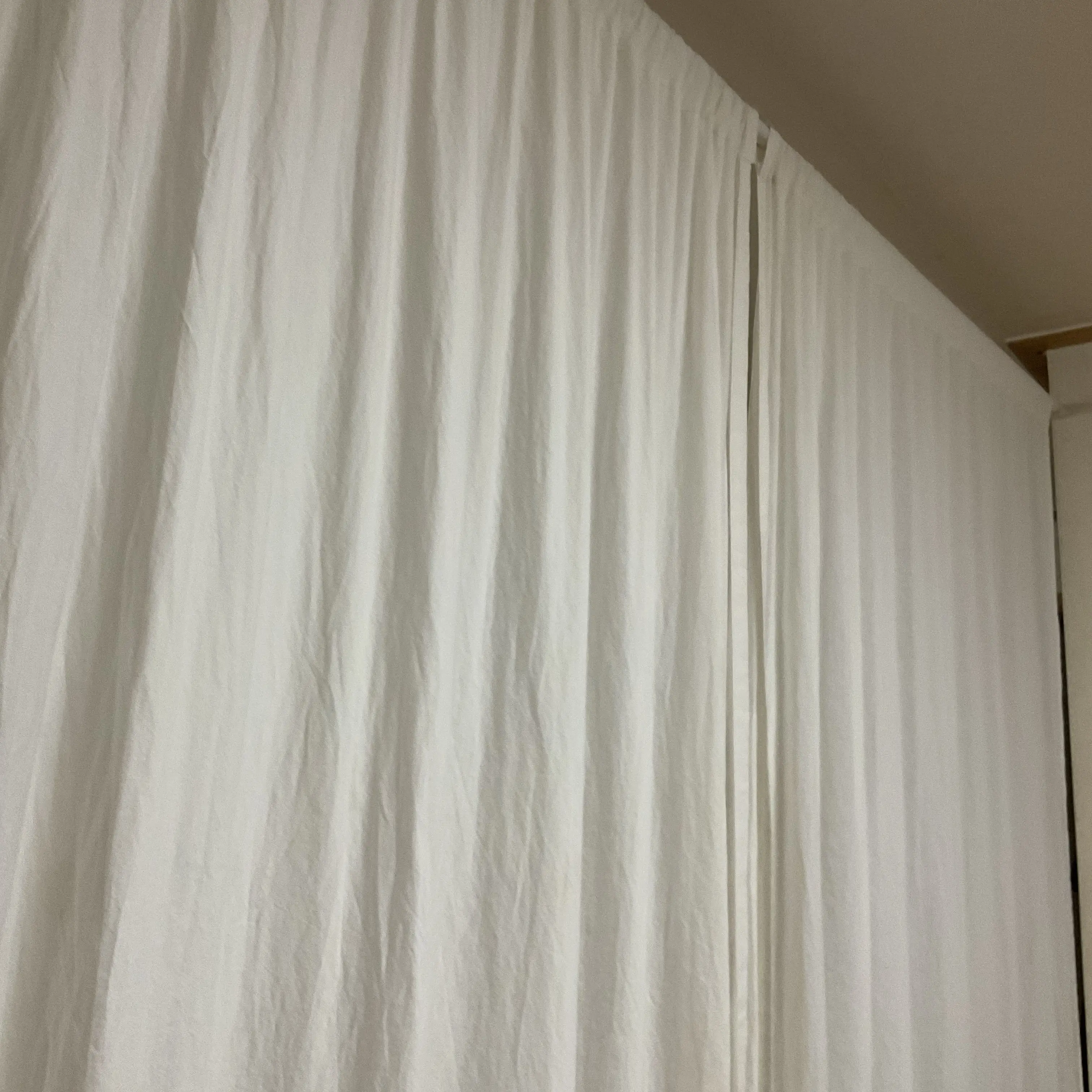 hambang의 호시나 소우시로(여우포함) 동거임요