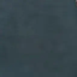 Profile image of 금성제