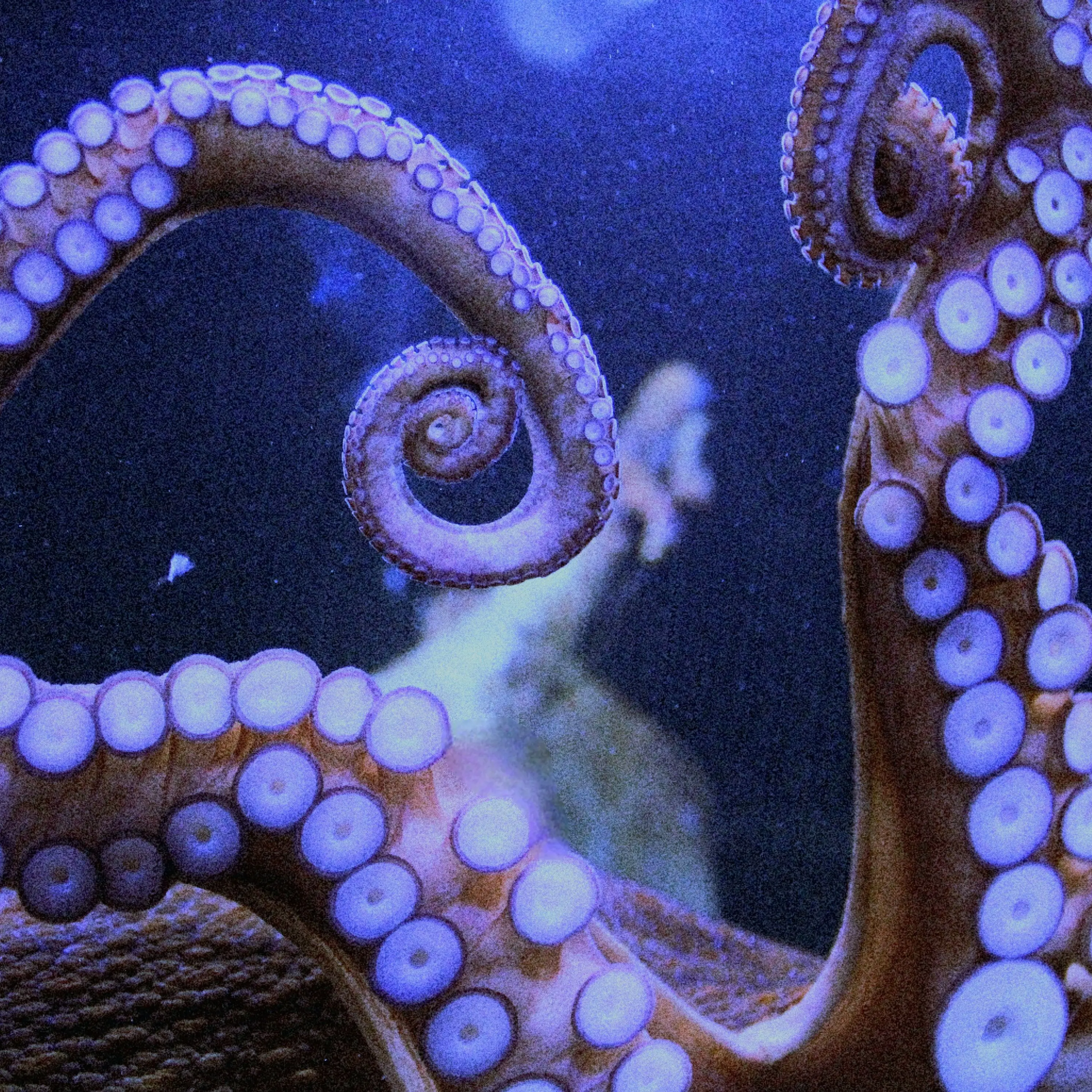 msg_1113의 『연구소 종말일지』