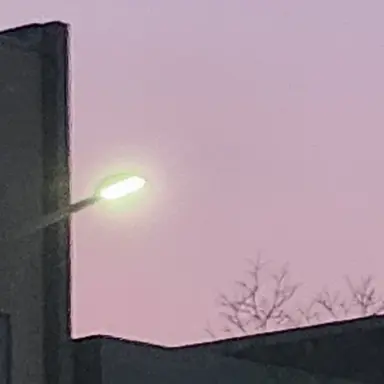 Profile image of 쿠키들