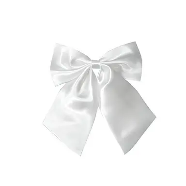 Profile image of ラウール