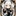 미스트