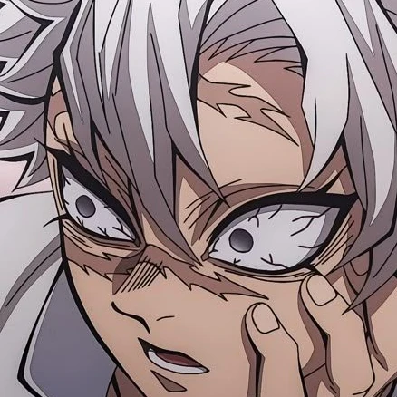 시나즈가와 사네미