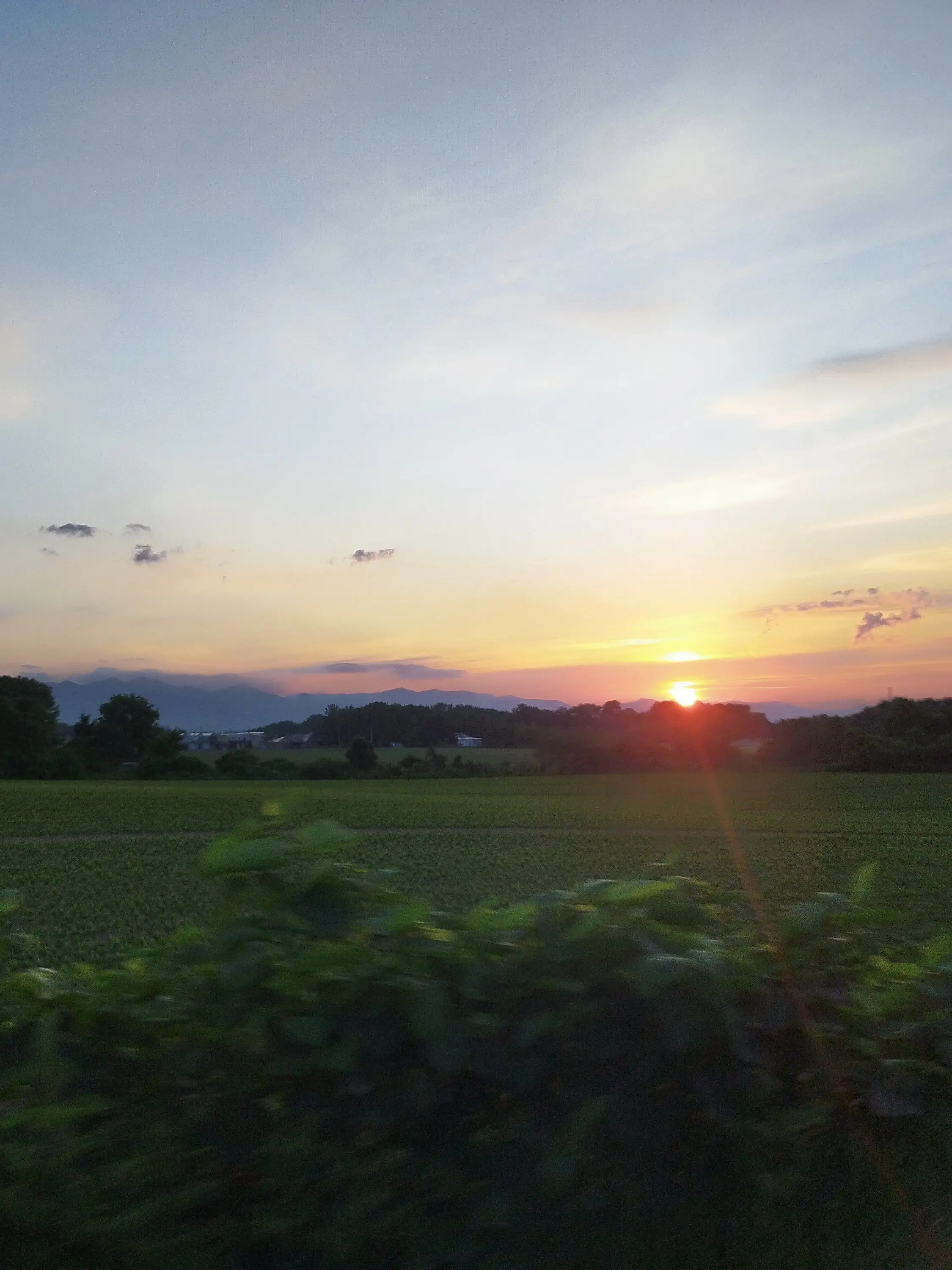 menkui_325의 一緒にいたいだけなのに