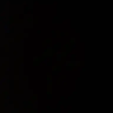 Profile image of 꽥
