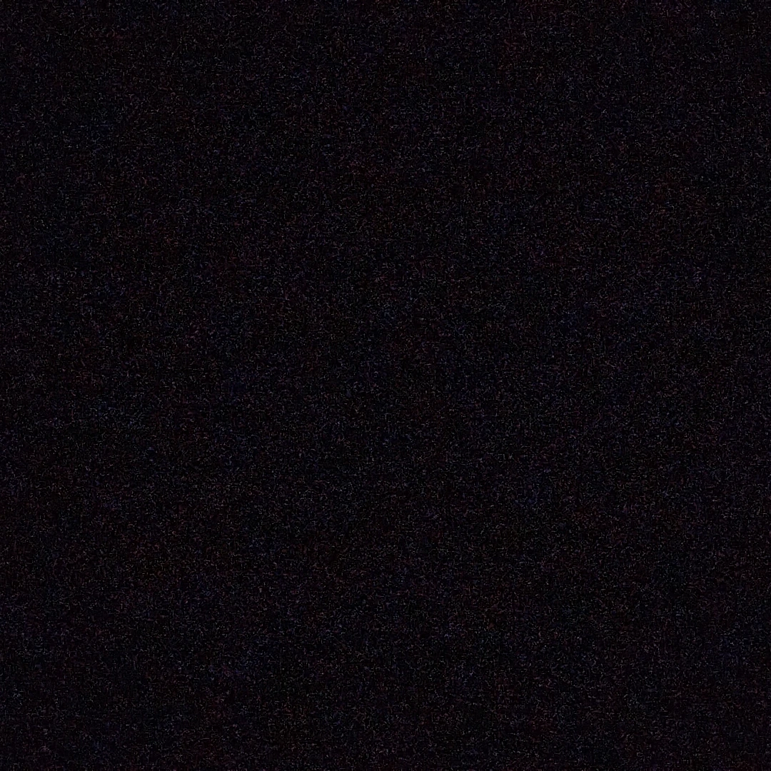 박지한