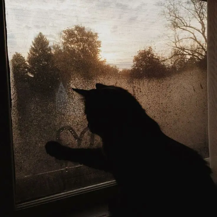 suuuugA_seesaw의 짝사랑