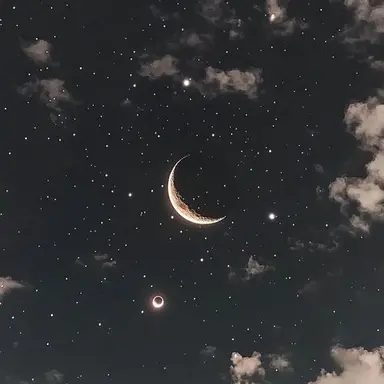 Profile image of 담임 선생님