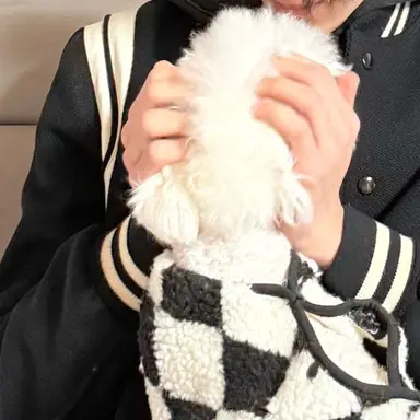 Profile image of 오시온