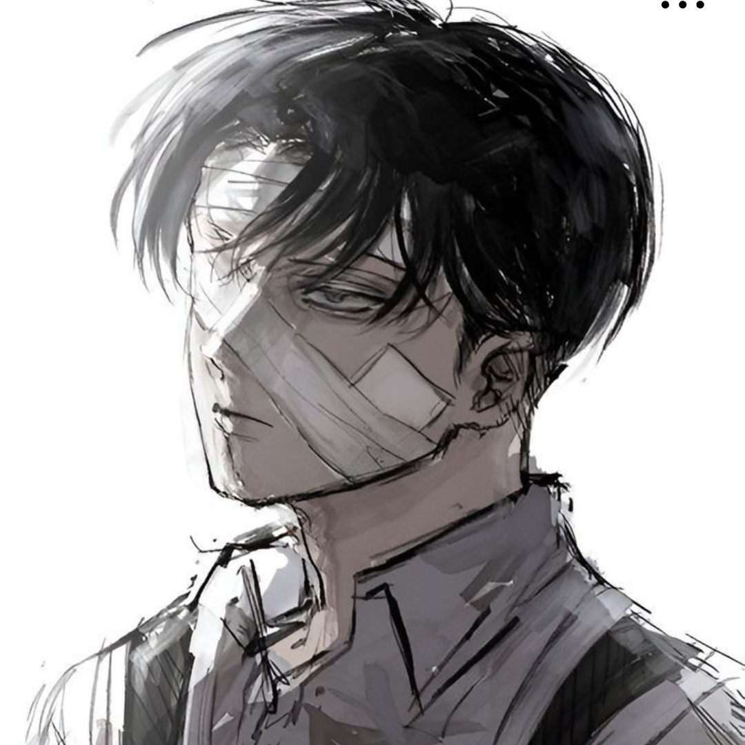 리바이 아커만 대표 이미지