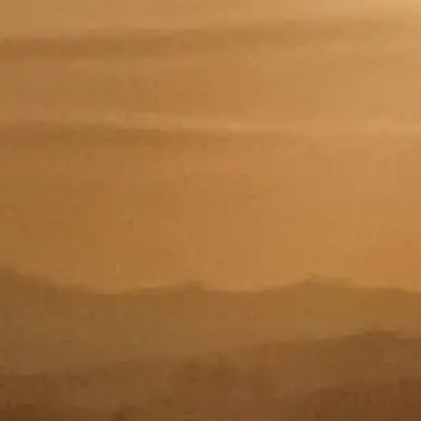 Profile image of 공룡 경사