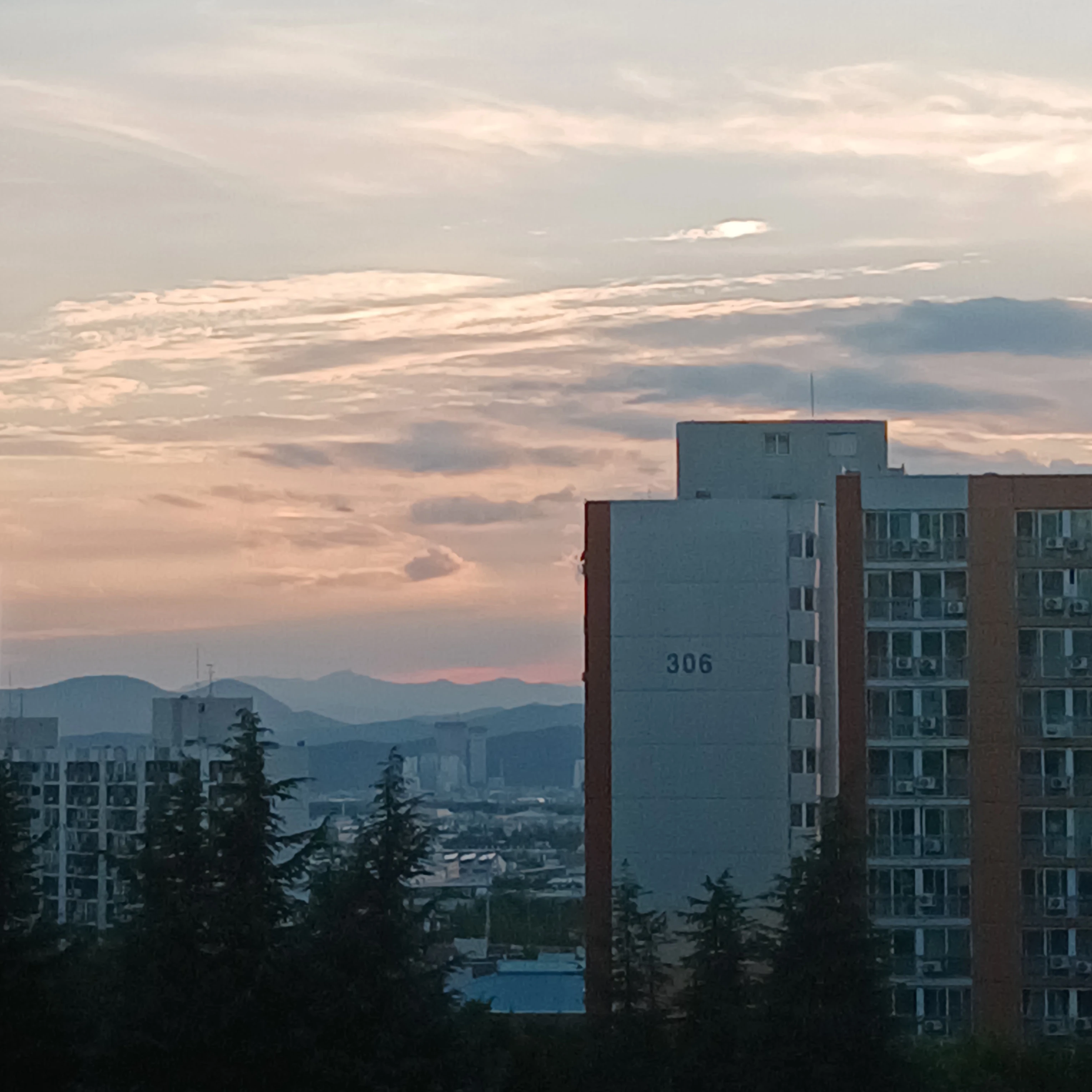 아이리스 경사