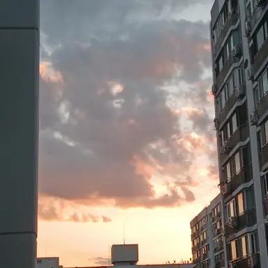 Profile image of 신승아 경장